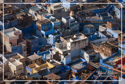 Jodhpur (57) Blue City