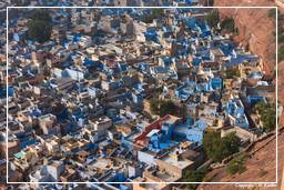 Jodhpur (58) Blaue Stadt