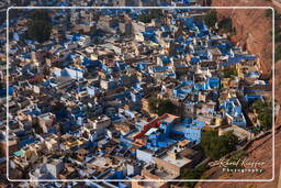 Jodhpur (58) Blue City