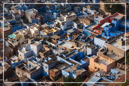 Jodhpur (63) Ville Bleue