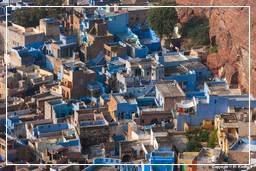 Jodhpur (87) Blaue Stadt