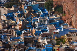 Jodhpur (87) Ciudad Azul