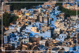 Blue City, Jodhpur (100)