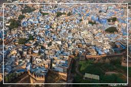 Jodhpur (110) Blaue Stadt