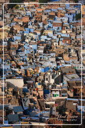 Blue City, Jodhpur (115)