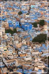 Jodhpur (117) Blaue Stadt