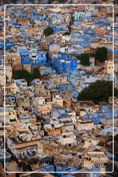 Jodhpur (117) Ville Bleue