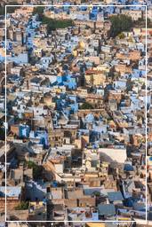 Jodhpur (120) Blaue Stadt