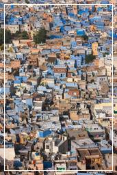 Jodhpur (126) Blue City