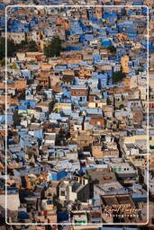 Jodhpur (126) Città Blu