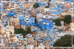Jodhpur (133) Blaue Stadt
