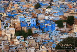 Jodhpur (133) Cidade Azul