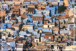 Jodhpur (134) Blaue Stadt