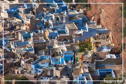 Jodhpur (142) Blue City