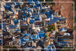 Jodhpur (142) Ciudad Azul