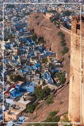 Jodhpur (145) Blaue Stadt