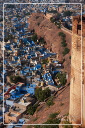 Jodhpur (145) Blue City