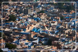 Jodhpur (163) Blue City