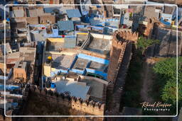 Blue City, Jodhpur (164)