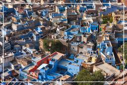 Jodhpur (188) Blaue Stadt