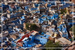 Blue City, Jodhpur (188)