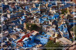 Jodhpur (188) Ciudad Azul