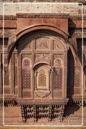 Mehrangarh Fort, Jodhpur (198)
