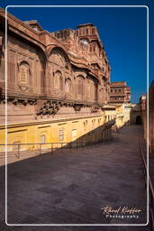 Jodhpur (215) Forte di Mehrangarh