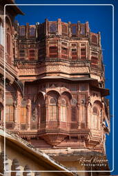 Jodhpur (220) Mehrangarh Fort