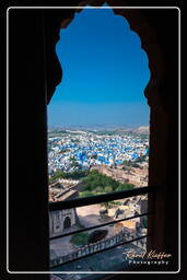 Jodhpur (332) Mehrangarh Fort