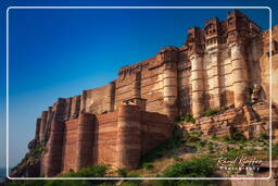 Jodhpur (389) Forte di Mehrangarh