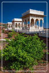 Jodhpur (486) Jaswant Thada