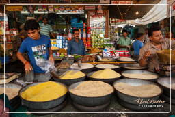 Jodhpur (581)