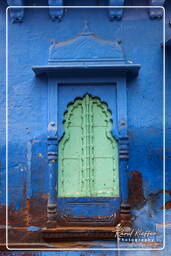 Jodhpur (603) Ville Bleue