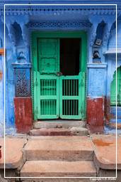 Jodhpur (606) Blaue Stadt