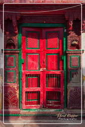 Blue City, Jodhpur (613)