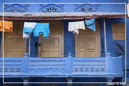 Jodhpur (620) Blaue Stadt