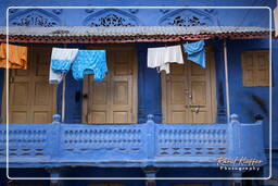 Blue City, Jodhpur (620)