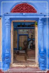 Jodhpur (625) Blaue Stadt