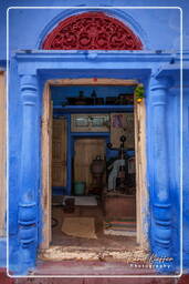 Jodhpur (625) Cidade Azul