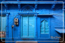 Jodhpur (633) Blue City