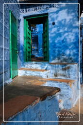 Blue City, Jodhpur (662)