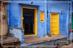 Blue City, Jodhpur (663)