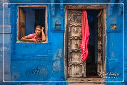 Blue City, Jodhpur (665)