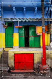 Blue City, Jodhpur (749)