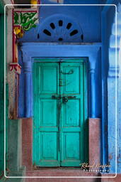 Jodhpur (754) Blue City