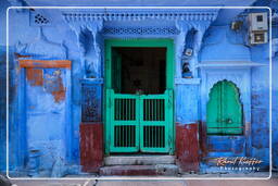 Blue City, Jodhpur (756)