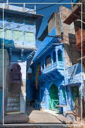 Jodhpur (773) Blaue Stadt