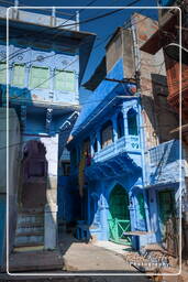 Jodhpur (773) Blue City