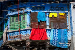 Blue City, Jodhpur (782)